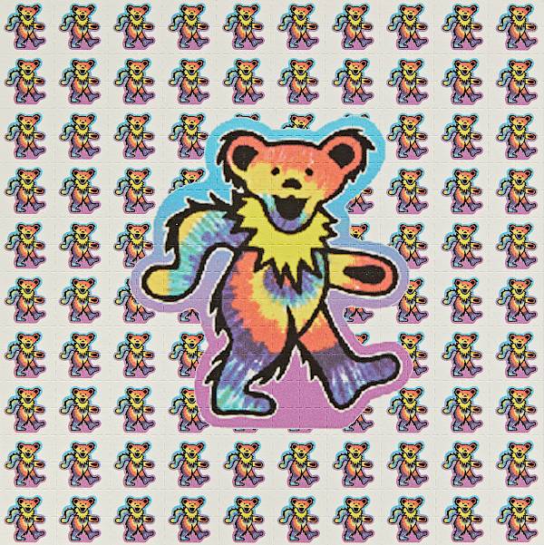 Grateful Dead Bear